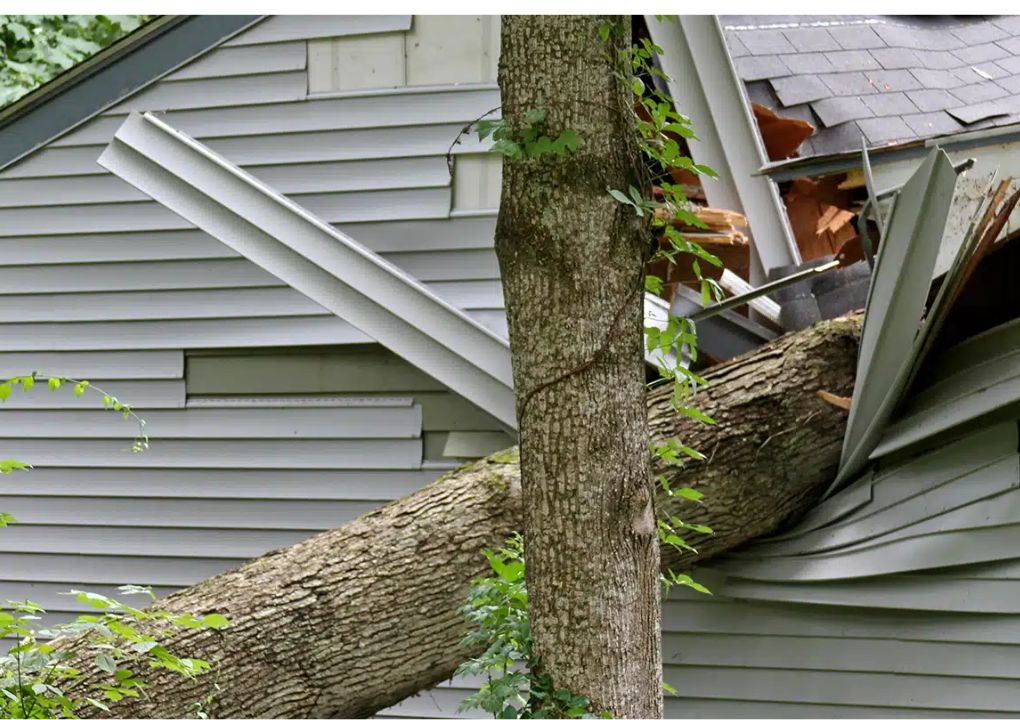 Severe Storm Damage Calgary